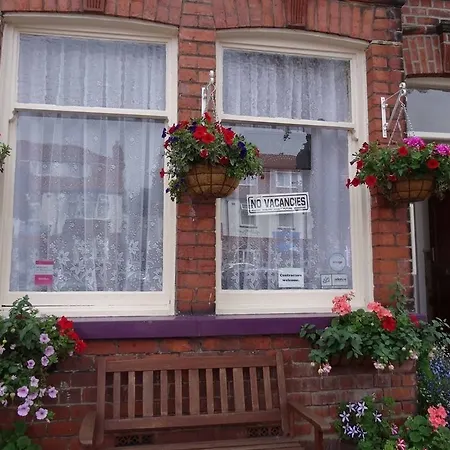 Sea Dogs Scarborough