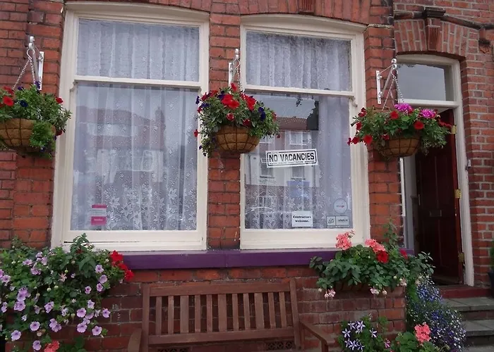 Sea Dogs Scarborough